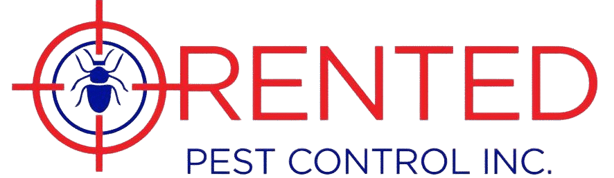 Aurora Pest