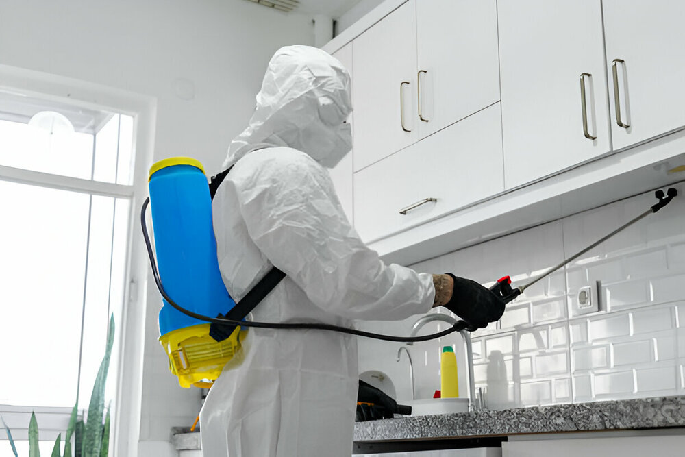 Cockroach Control Aurora